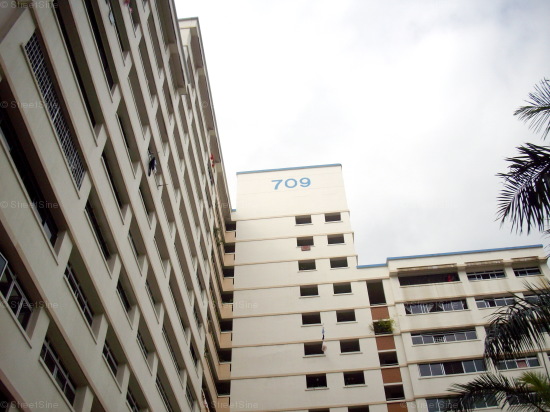 Blk 709 Jurong West Street 71 (Jurong West), HDB Executive #414072